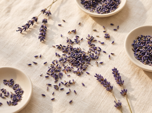 Fleurs de lavande, ingrédient BathsTea