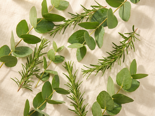 Eucalyptus et romarin, ingrédients BathsTea